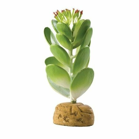 EXO TERRA Exo-Terra Plant, Jade Cactus 1423-K